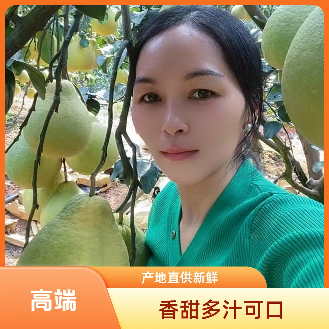正宗广西容县沙田柚老树果纯甜不酸产地直发