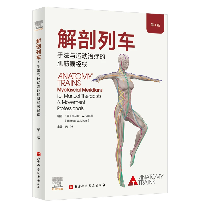 解剖列车:手法与运动治疗的肌筋膜经线(第4版)
