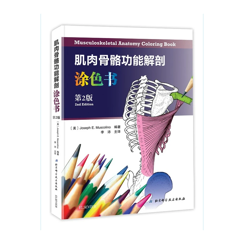 肌肉骨骼功能解剖涂色书 第2版