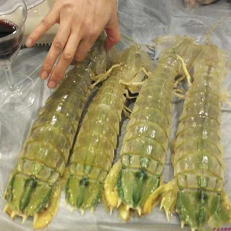 （买一斤送一斤）新鲜超大富贵虾熟冻发货顺丰包邮