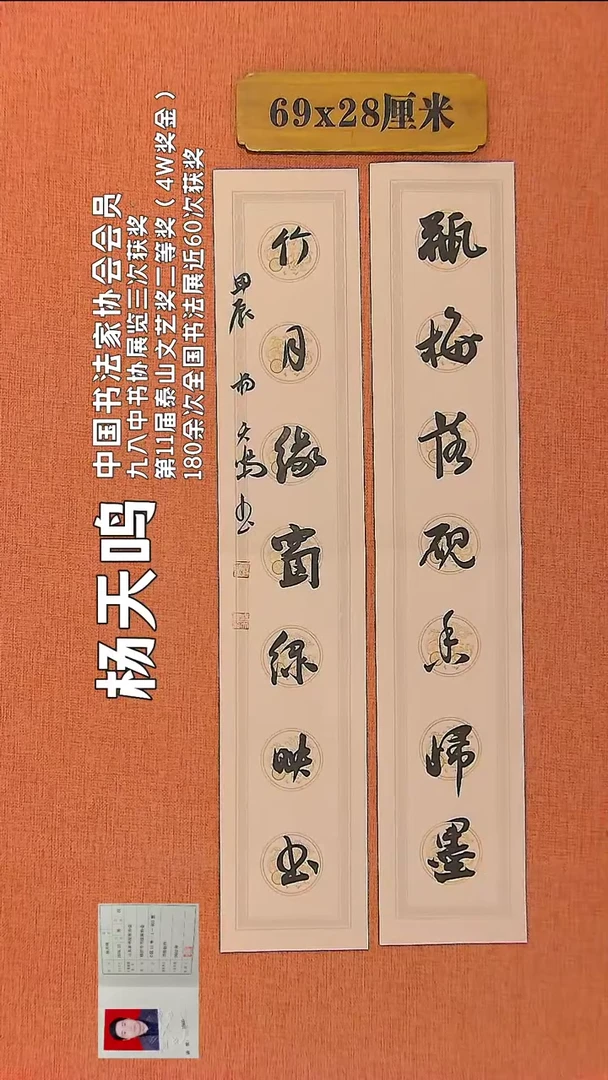 【闪购商品】书法50 中书协会员杨天鸣老师作品