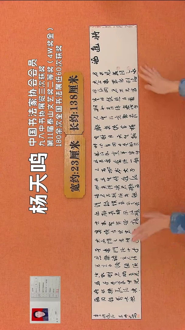 【闪购商品】书法125 中书协会员杨天鸣老师作品