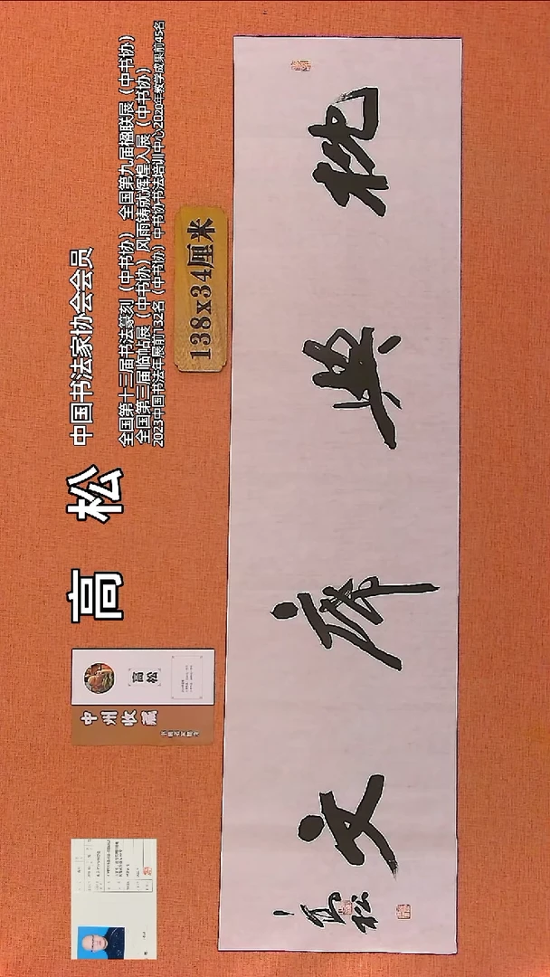 【闪购商品】书法23     中书协会员高松老师作品