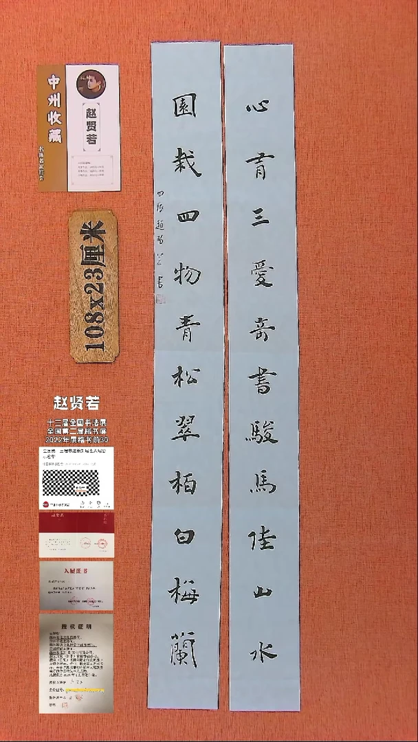 【闪购商品】书法365 中书协会员赵贤若老师作品*
