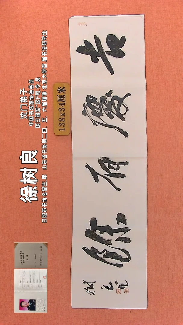 【闪购商品】书法204 中书协会员徐树良老师