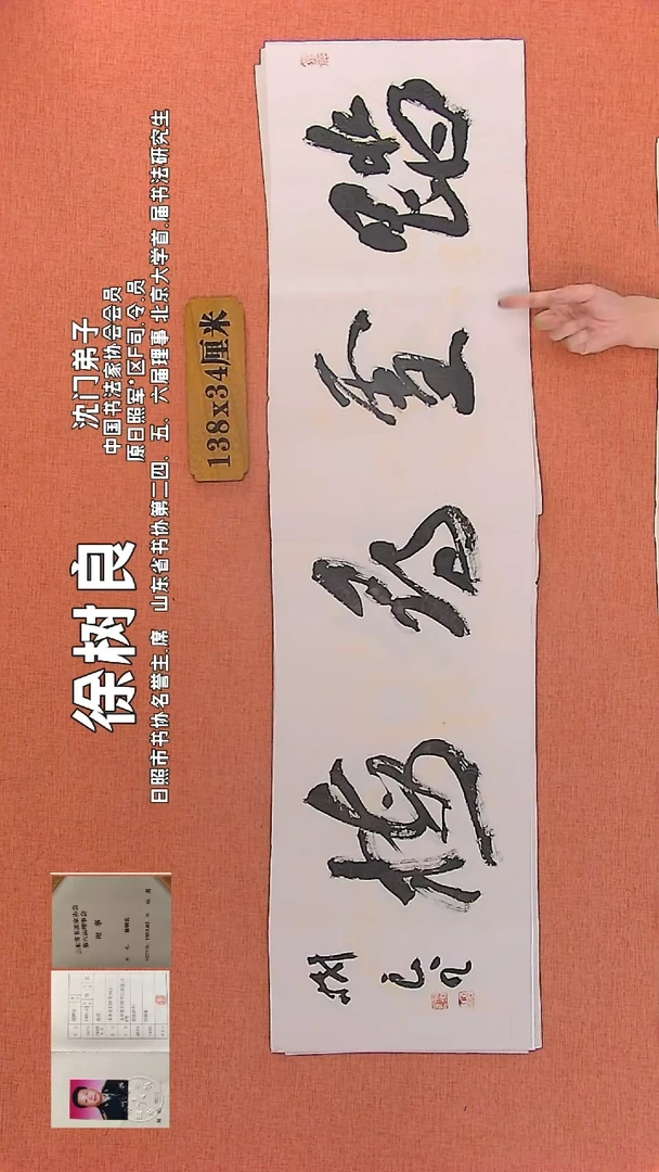 【闪购商品】书法376 中书协会员徐树良老师