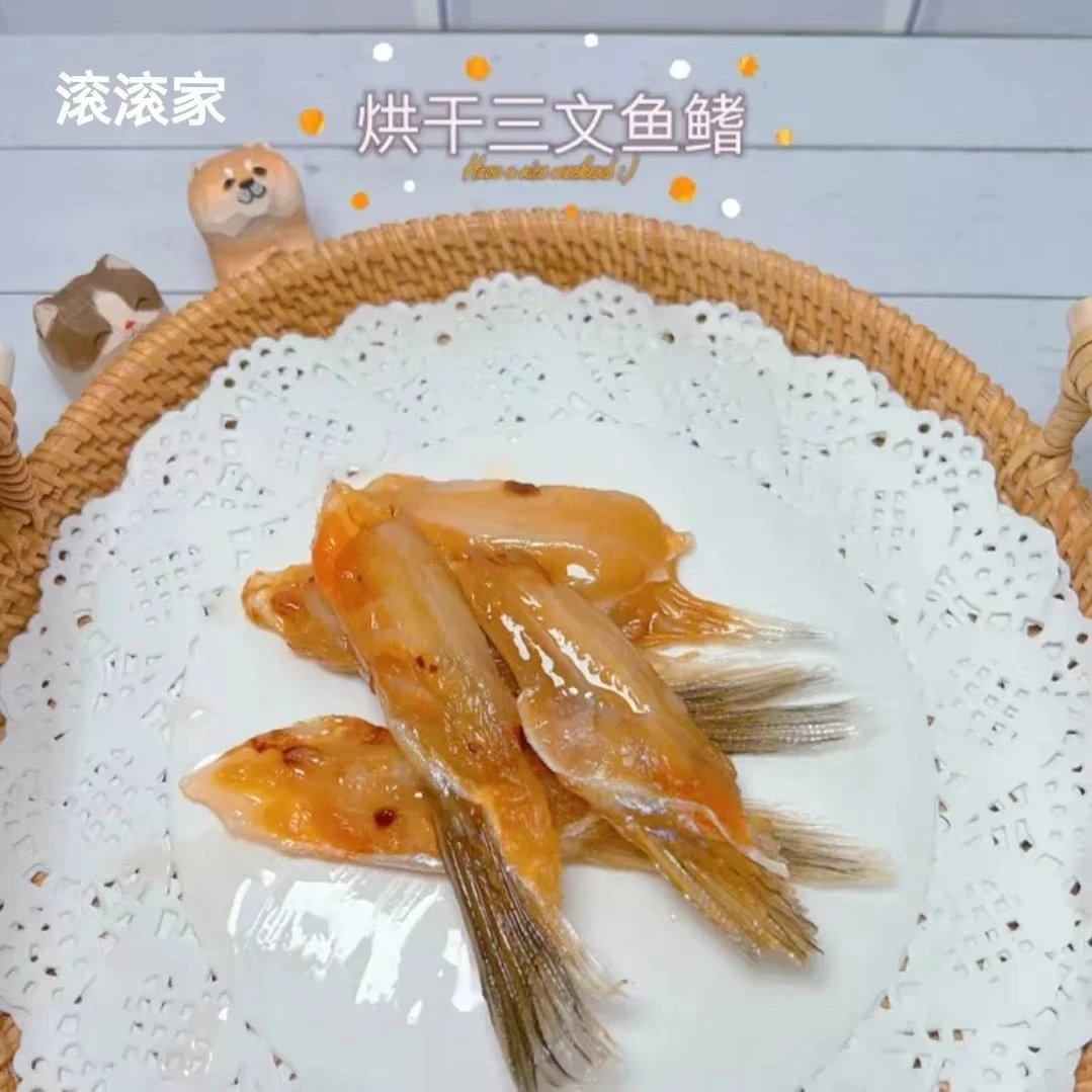 滚滚家【烘干三文鱼鳍】自制手工宠物零食美毛护肤猫狗