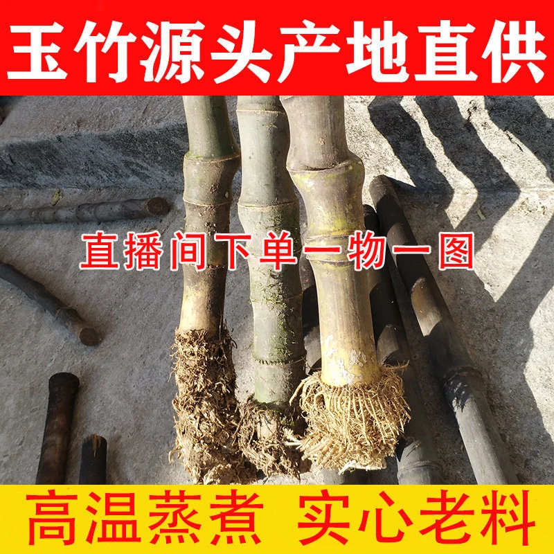 高密度实心竹玉竹把件文玩手把件多节长竹棍红皮老料于谦同款玉化