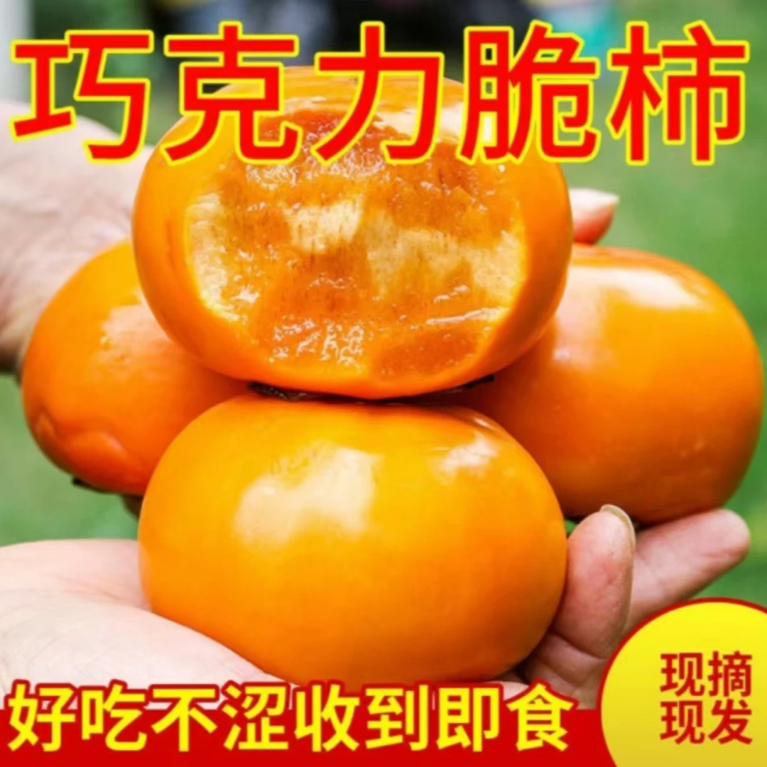 （漂阿树专属）运城巧克力脆柿新鲜香甜硬柿子当季应季水果整箱包邮