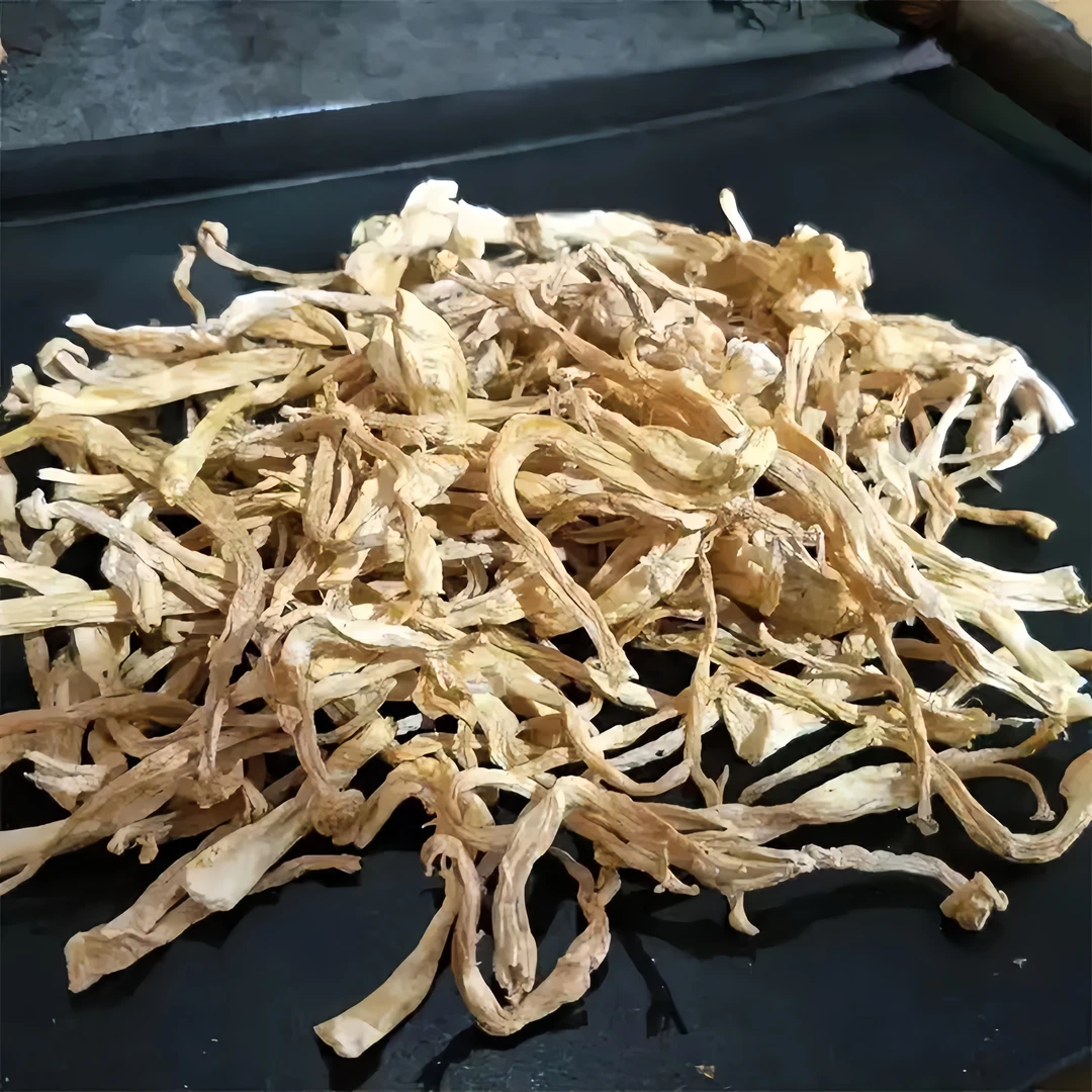 【巧巧优选】云南大山 海鲜菇 250g-500g