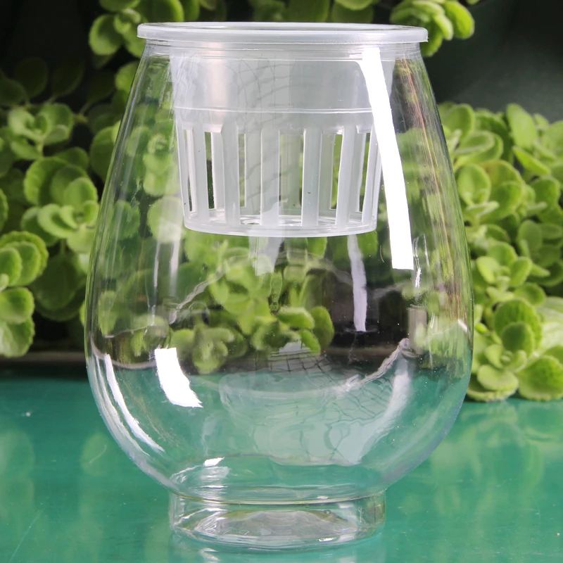 透明水培塑料花瓶绿萝水生植物植物容器适于室内桌面摆放花盆花卉