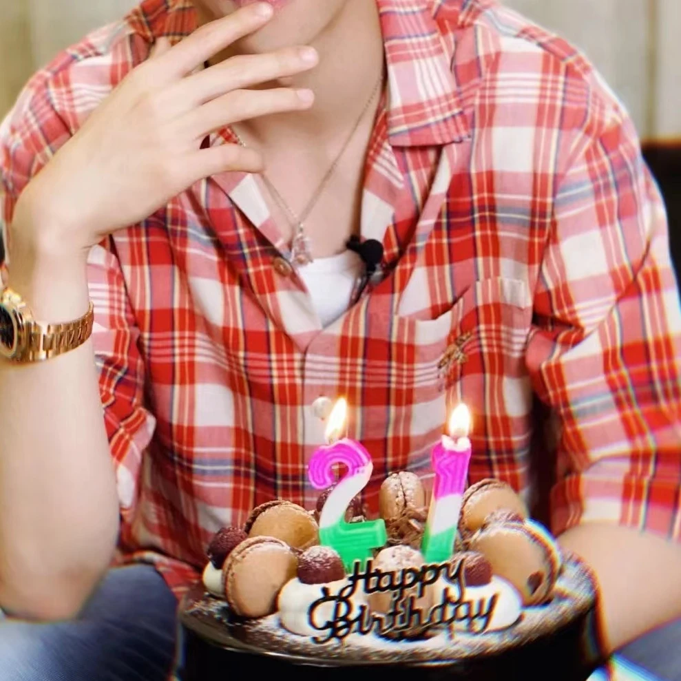 全新未使用 GUCCI/古驰 动物刺绣格纹短袖衬衫/多码