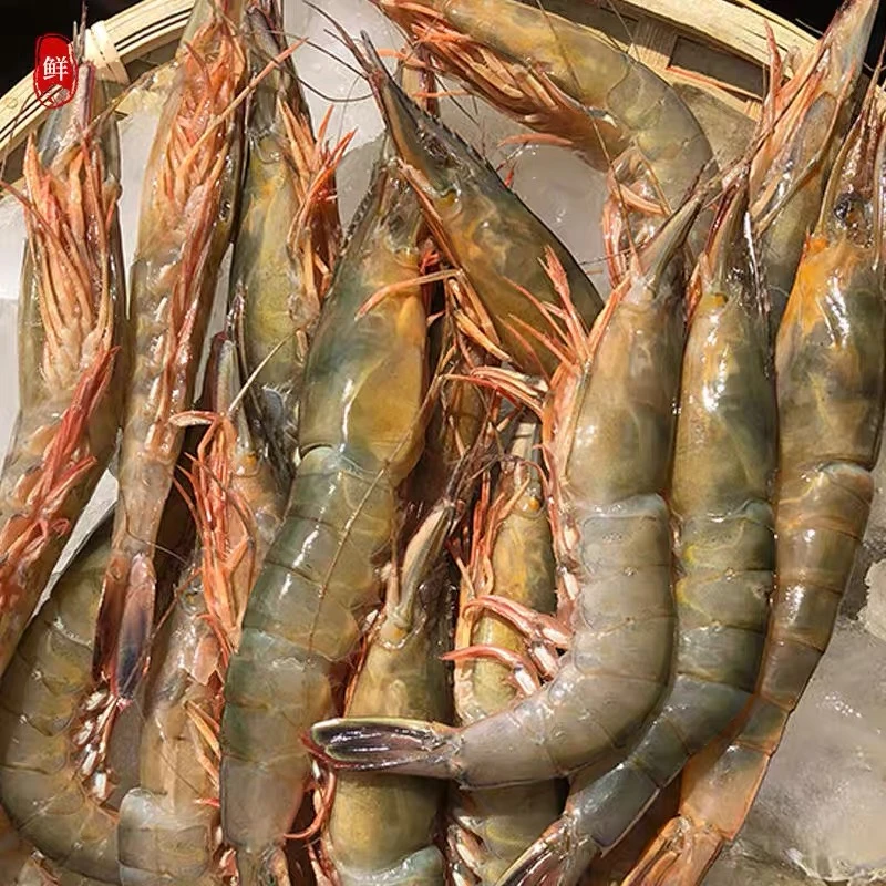 【东海野生滑皮虾3斤】深海海捕硬壳虾75头左右/斤超低温鲜货冻发