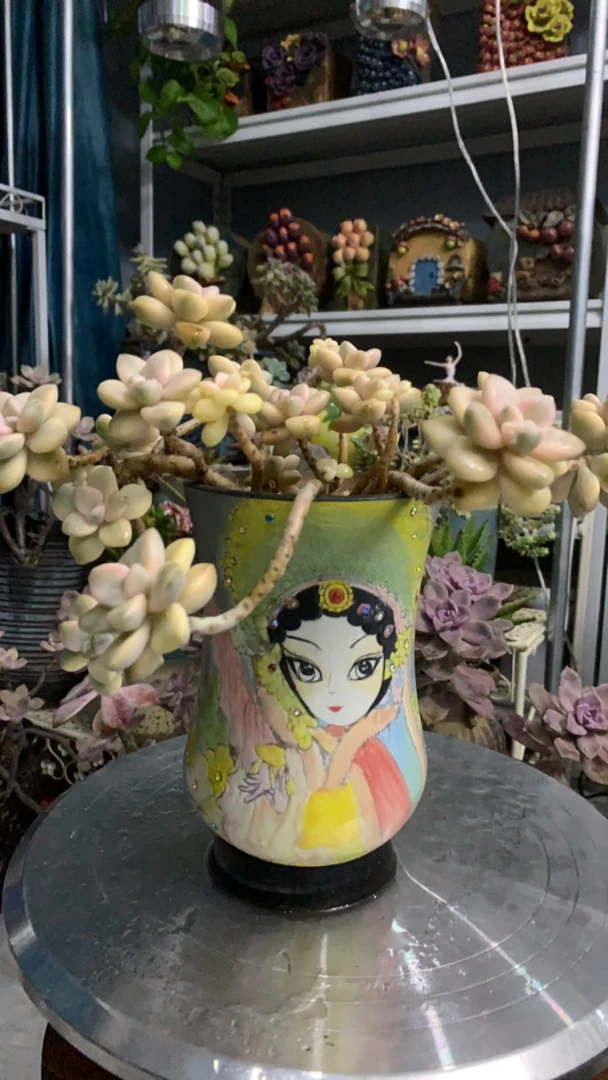 京剧艺曲美女精品彩绘高桩盆(多肉免费)