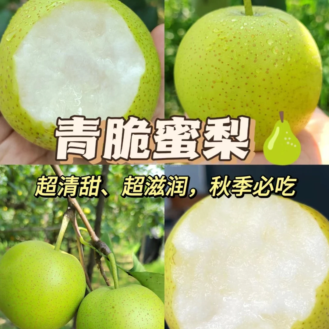【买满39元包邮 】 蜂蜜梨 大果 两斤