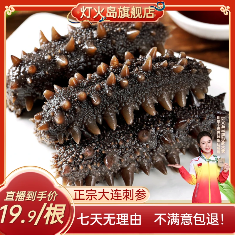鲜食海参500g/盒 辽刺参正宗大连辽参 8A品质 开袋即食