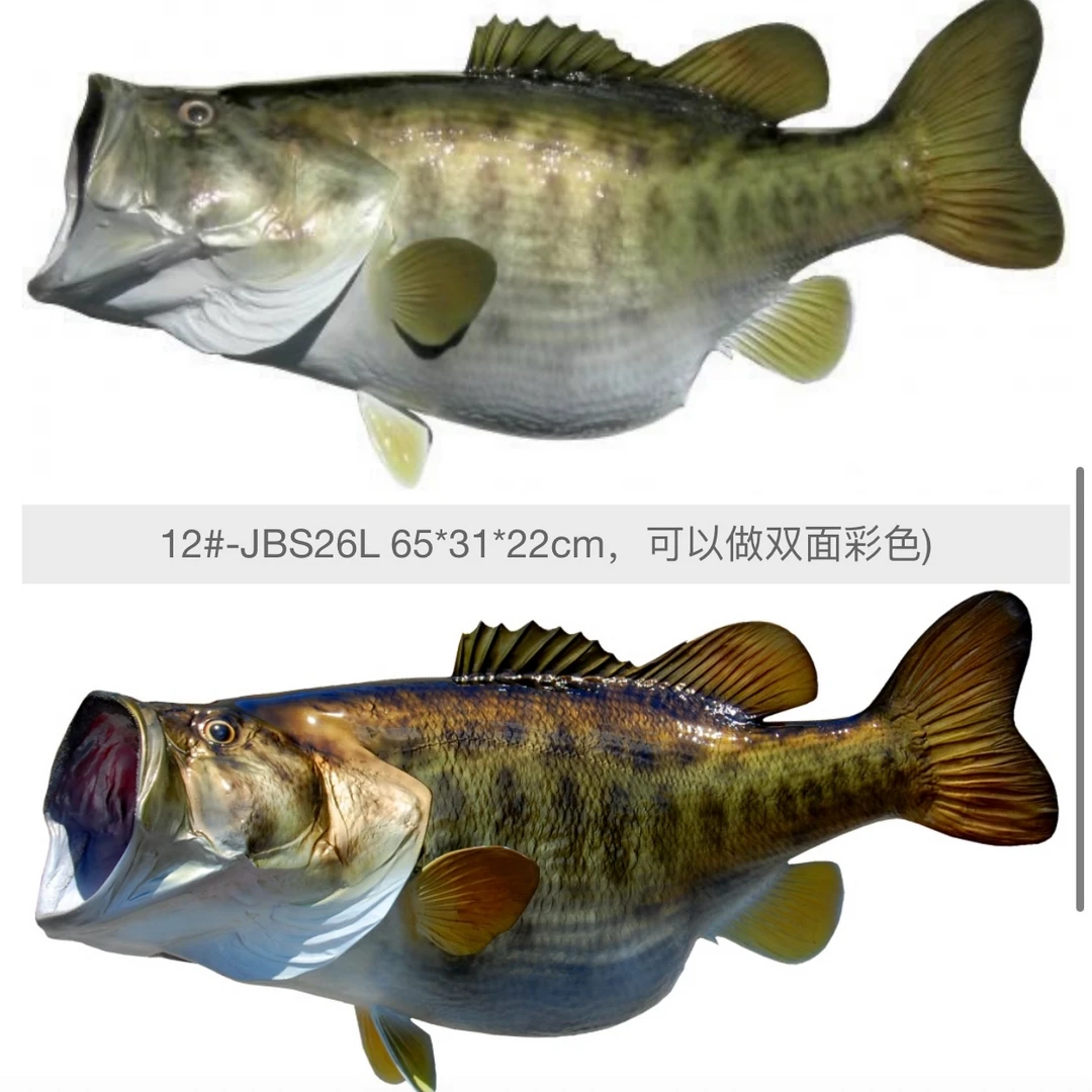 鱼模型定制 鱼模型 鲈鱼Bass类 可选单面挂墙或双面地台 鲈鱼模型