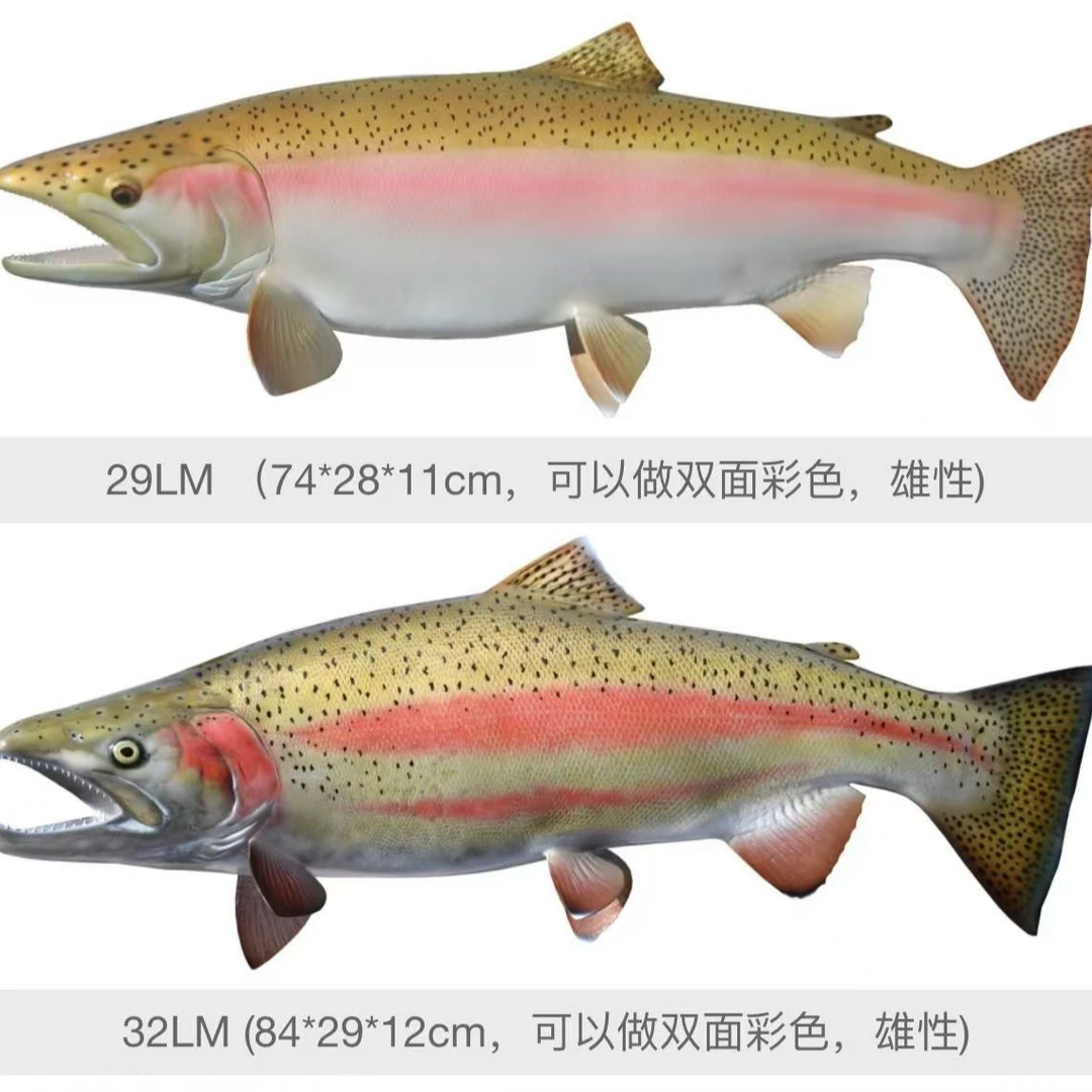鱼模型定制 鱼模型 鳟鱼类 可选单面挂墙或双面地台  钢头鳟