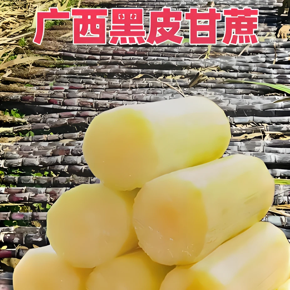 广西新鲜黑皮甘蔗甜蜜上市肉质脆甘甜多汁产地直发包邮