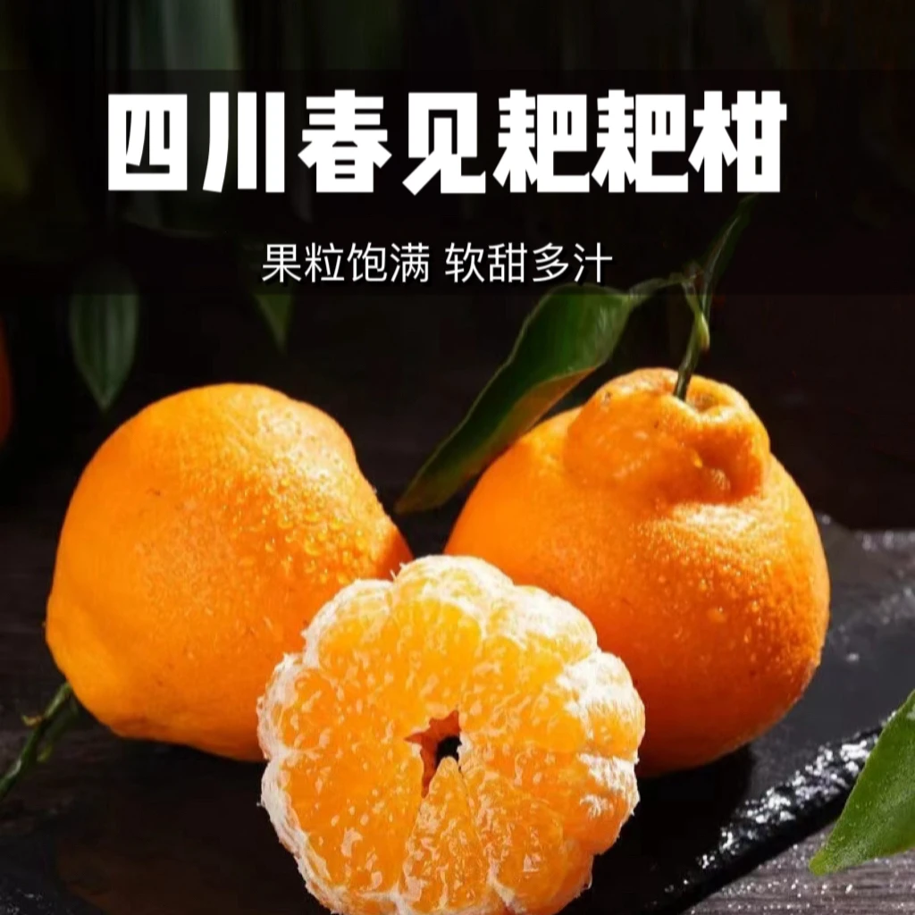 四川春见耙耙柑爆汁香甜肉嫩多汁甜蜜化渣味浓爽口新鲜采摘清甜