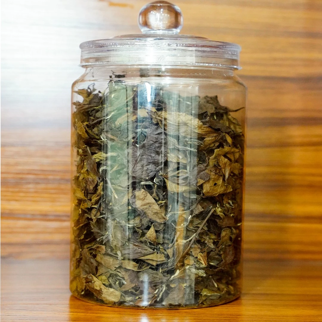 正宗福鼎老白茶一罐100g
