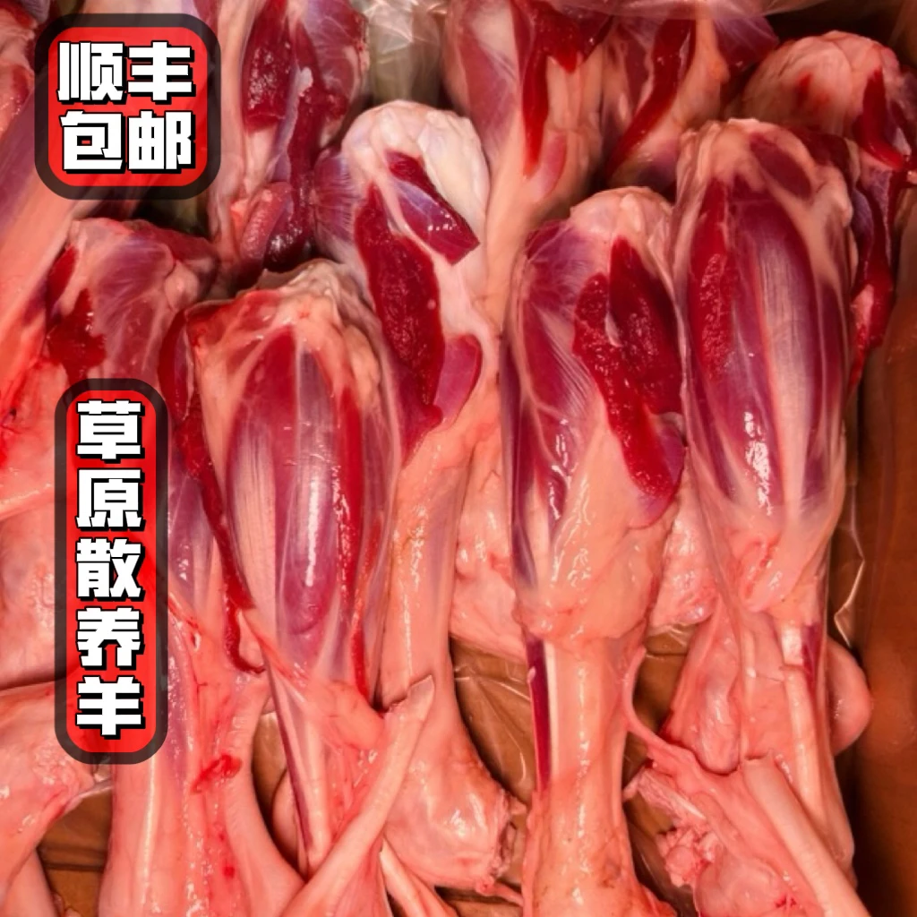 羊小腿内蒙古羊肉锡林郭勒盟羊肉生羊腿肉炖羊肉冷冻烧烤