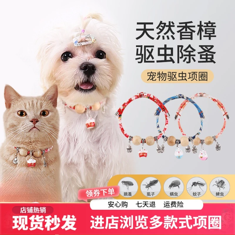 宠物香樟木珠猫咪驱虫项圈体外驱虫跳蚤虱子猫狗通用松紧铃铛项链