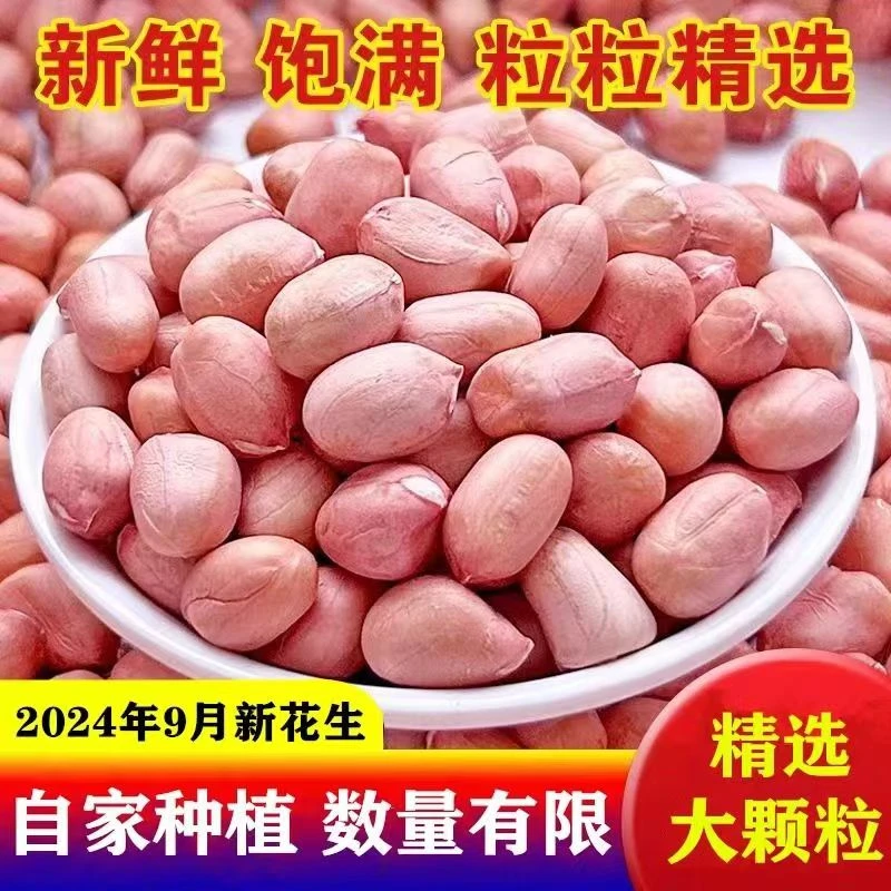 2024年新上市现脱壳白沙生花生米精选大颗粒纯干货