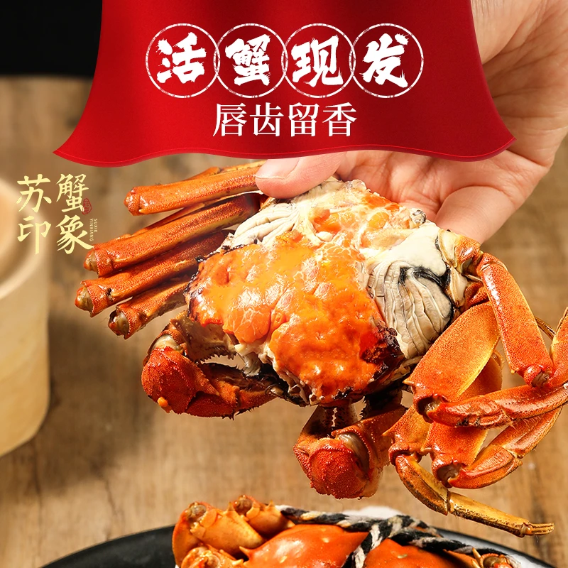 【活蟹】苏蟹臻选大闸蟹全公4.1-3.8两 10只装精挑大公蟹-