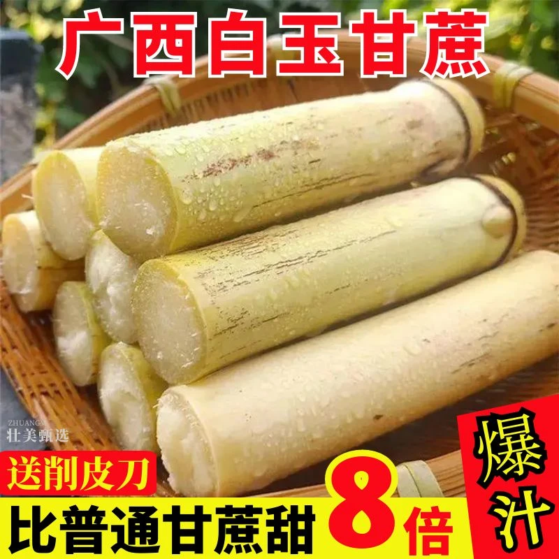 正宗广西白玉甘蔗新鲜孕妇中段薄皮当季水果脆甜杆非黑皮青皮黄金