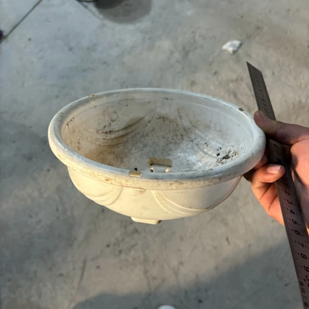 旧花盆 白色绿箩盆210口径【10个】