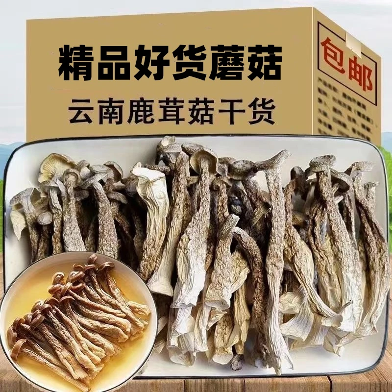 蔬外婆鹿茸菇无硫干货鲜香鹿茸菌新鲜无碎精选云南精品菇冬日火锅