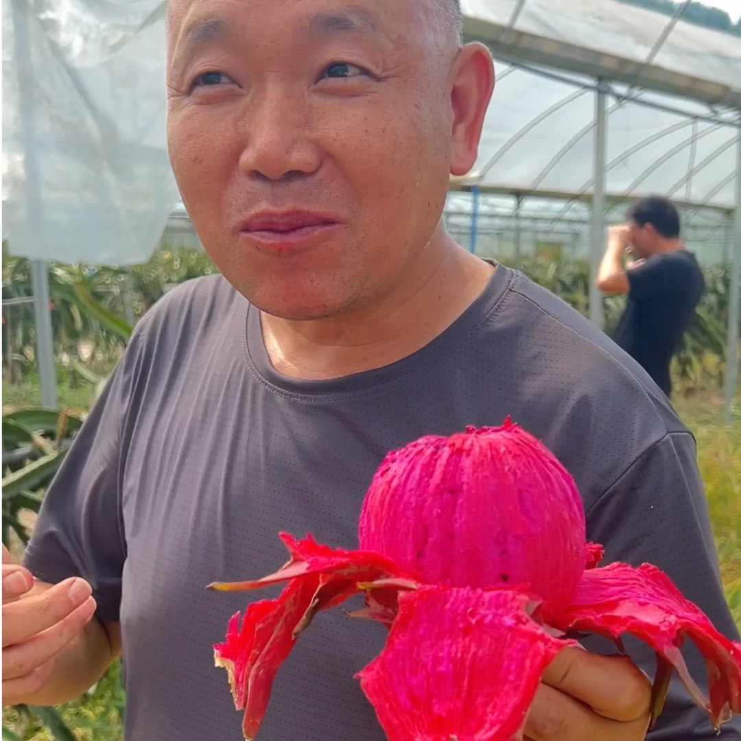 重庆红心火龙果新鲜正宗水果健康绿色