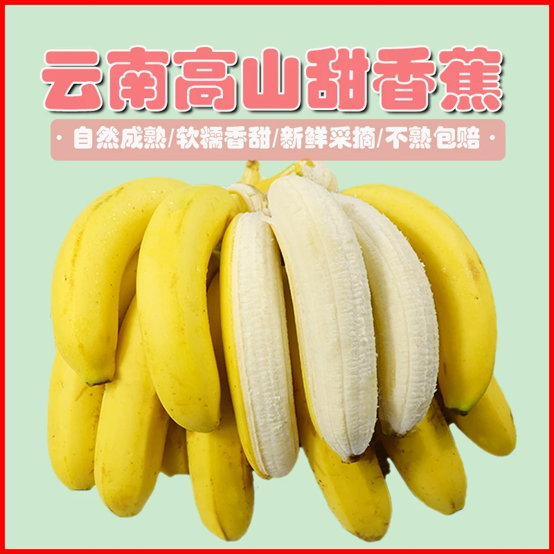 云南高山甜香蕉9成熟发货自然熟软糯香甜采摘水果现摘现发5斤装