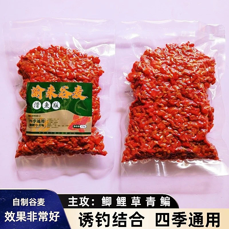 渝来谷麦饵料稻谷麦粒玉米窝料诱钓结合四季通用主攻鲫鱼鲤鱼草鱼