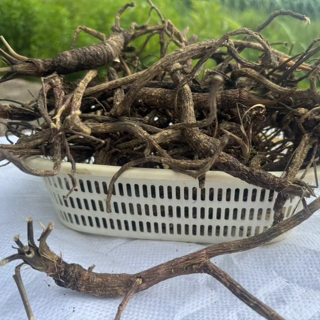 石头自然生新鲜晒干长岩川芎大前胡整根