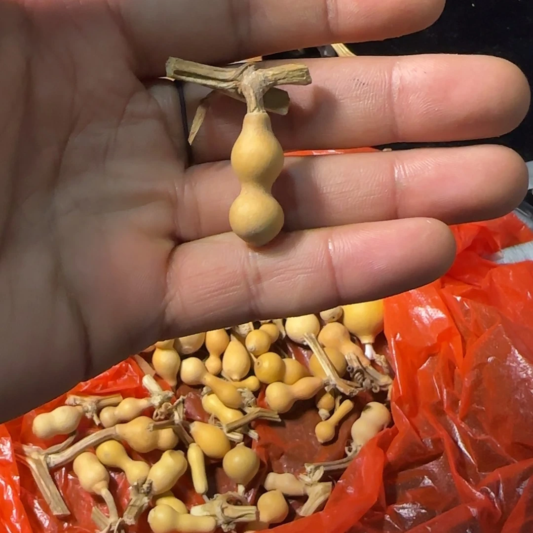 【闪购商品】天然葫芦后***?