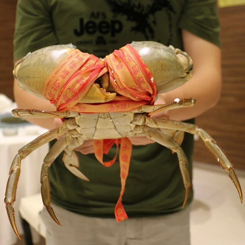 xiebibo/蟹必剥三门青蟹大公蟹2斤2只鲜活海蟹螃蟹包肥包活新鲜
