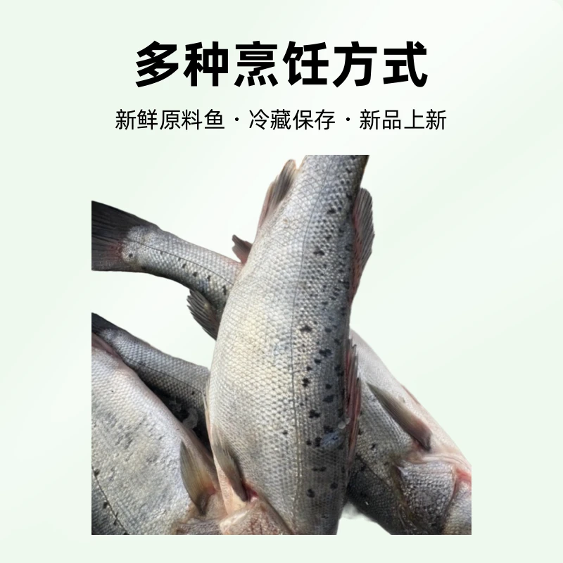 连云港深海鲈鱼新鲜直接烹饪每包600g-700g元/2条