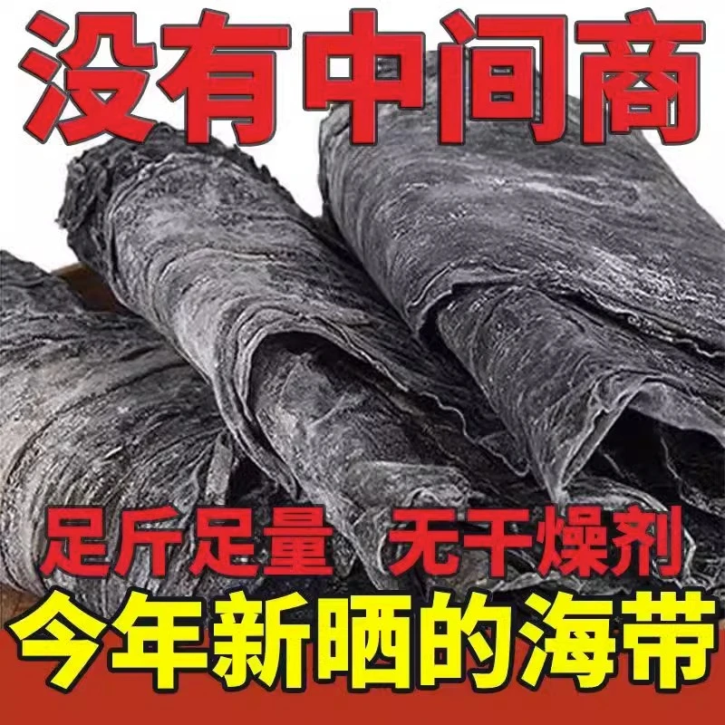 海带干货2023年新菜干货海带福建霞浦晒干海带自然日晒干货海带
