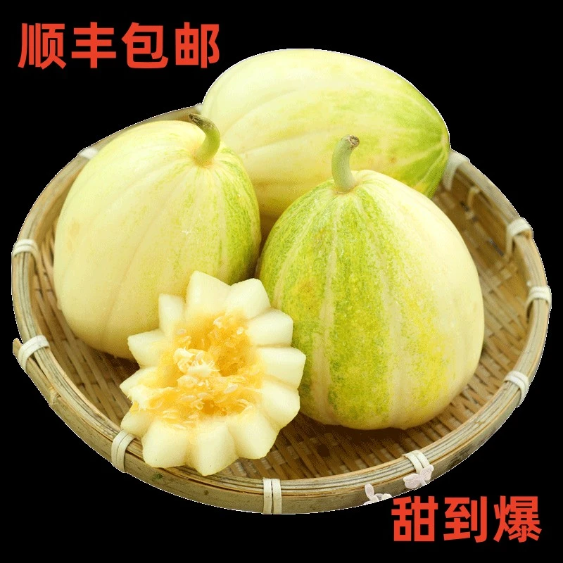 顺丰东北果园香瓜自然熟京密甜瓜新鲜好吃现摘现发4斤2斤香甜