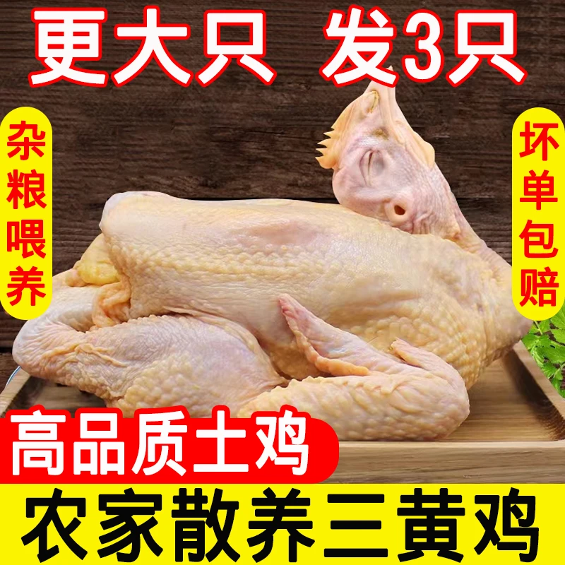 鸡肉生鲜 三黄鸡约850g*3只 新鲜冷冻白条鸡 农家散养土鸡 童子鸡