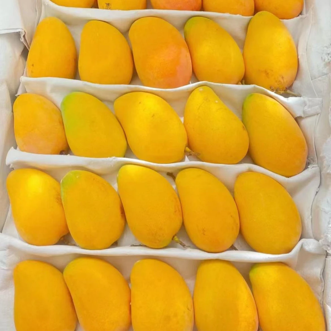 【直播】小台芒果一盒 芒果味浓郁香甜