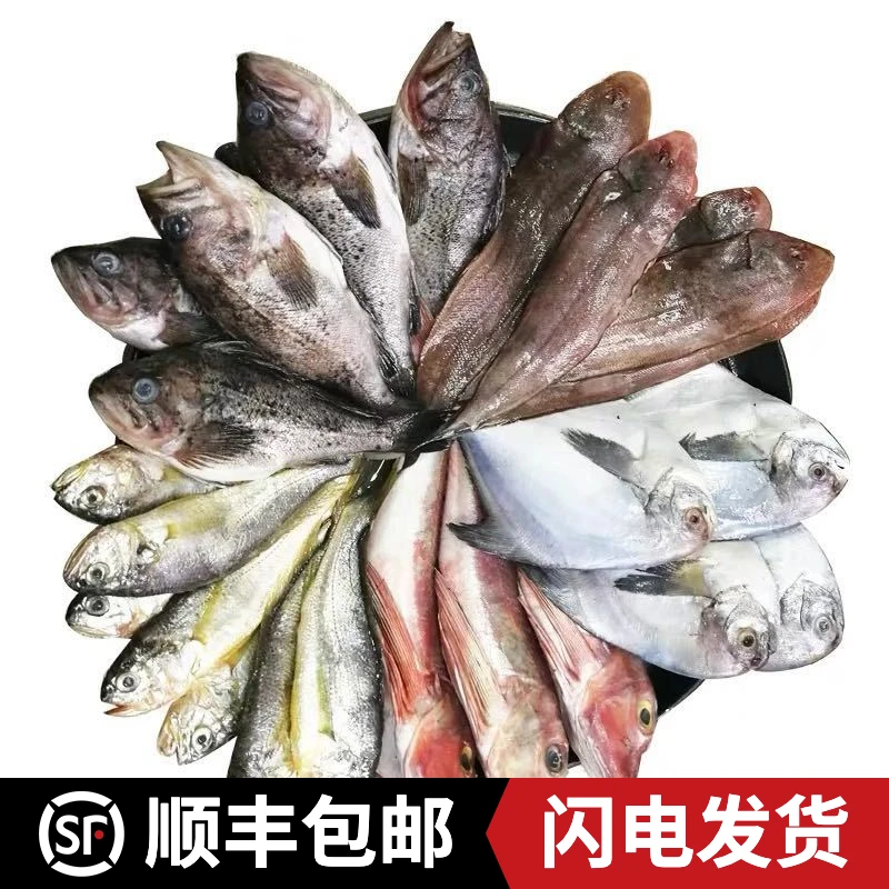 青岛特产 海鲜顺丰包邮