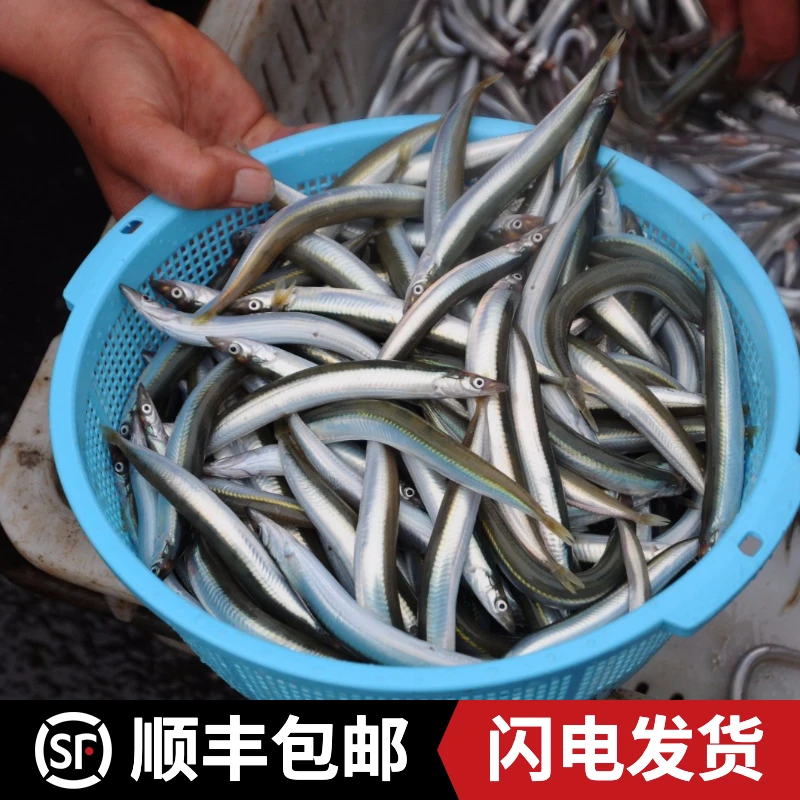 青岛特产面条鱼顺丰包邮新鲜速冻发货