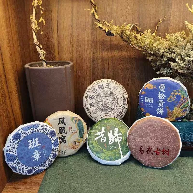 【到手6饼】普洱茶生熟茶  组合套装【2】 100g*6  ZH539