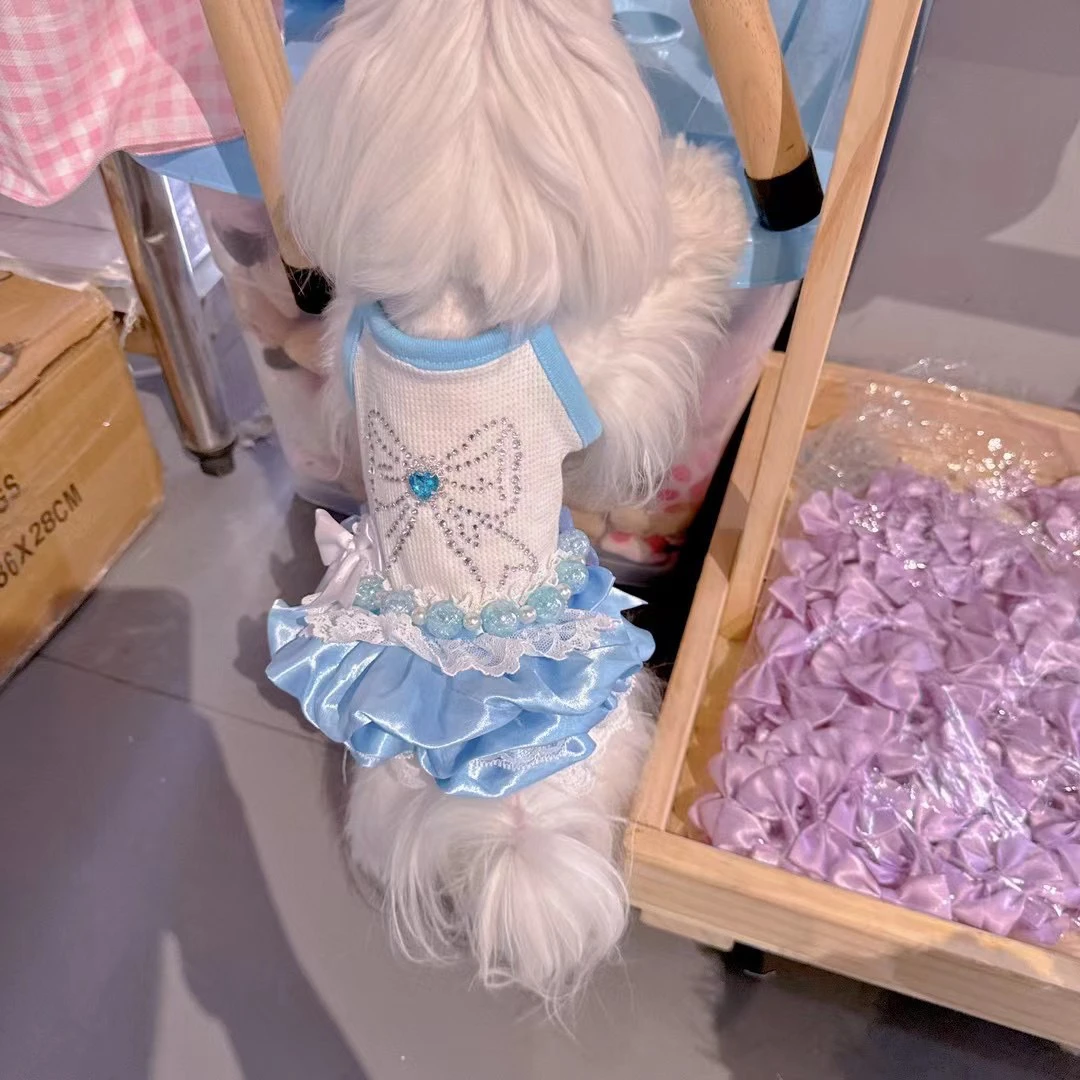 宠物服饰直播间过款专用，手工制作，NO退NO换，默认微瑕，无运费险~