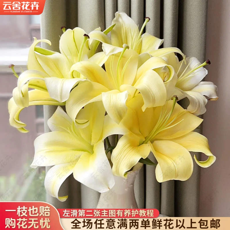 【云舍花卉】【皇帝】单瓣百合 全场任意满两单及以上鲜花包邮发货