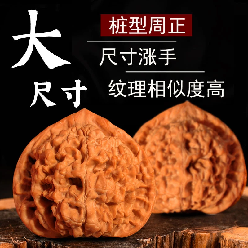 文玩核桃白狮子金公子蛤蟆头虎头王铁锤南瓜墩