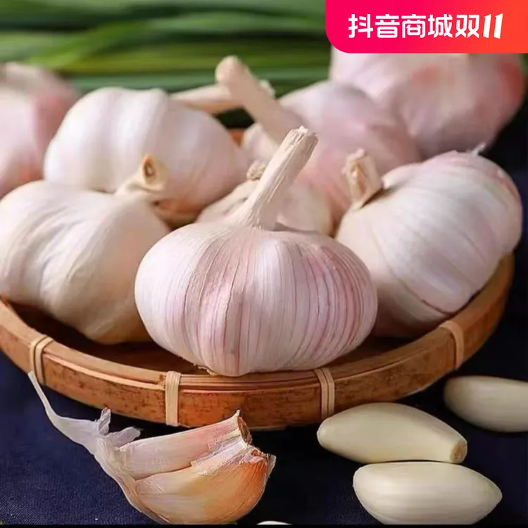 正宗紫皮新蒜头种子杞县特产香蒜二月出苔蒜蒜薹红根蒜籽种子